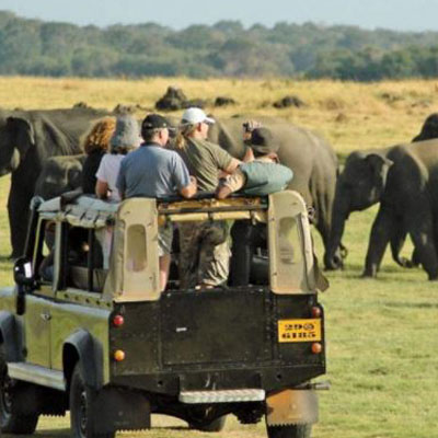 Yala National Park